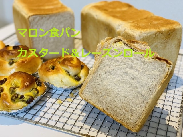 本日のパン72；マロン食パンカスタードレーズンロール
